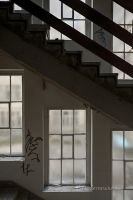Bild (11)